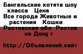 Бангальские котята шоу класса › Цена ­ 25 000 - Все города Животные и растения » Кошки   . Ростовская обл.,Ростов-на-Дону г.